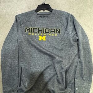 Champion Heather Gray Sweatshirt